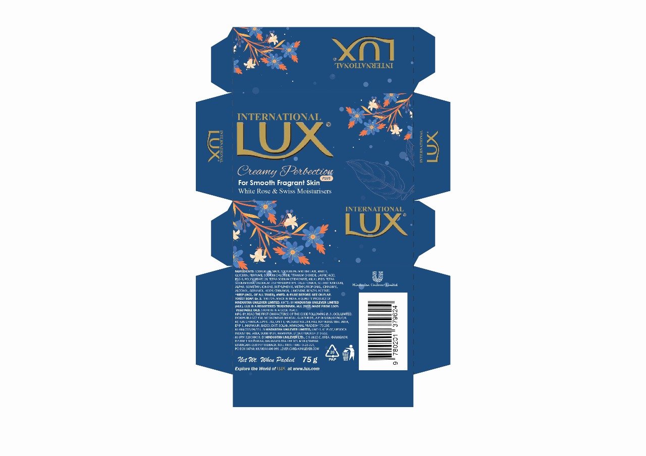 Packaging dieline — demonstration project